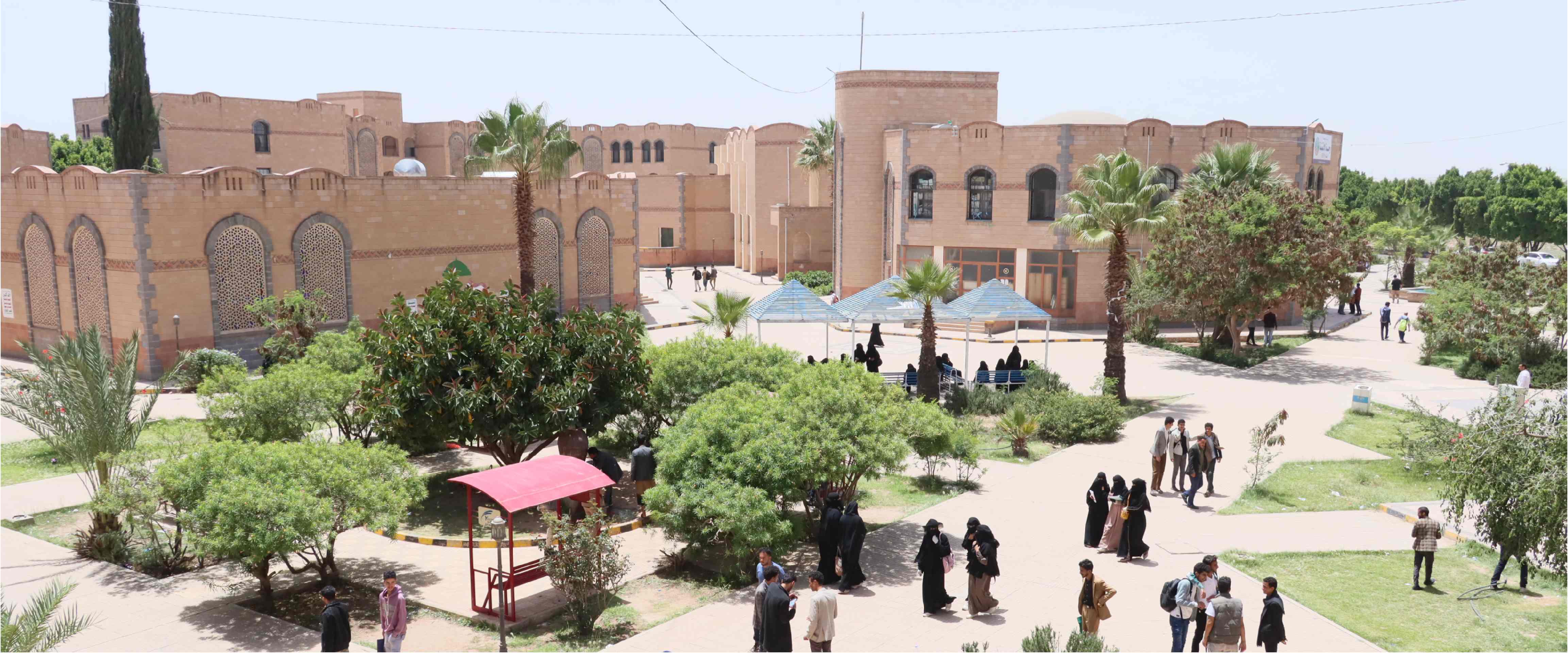 جامعــــــة ذمــــــار